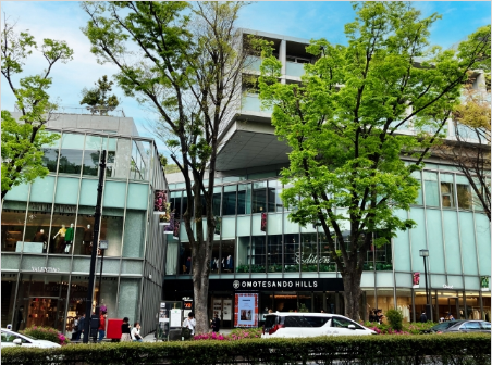 Omotesando shopping street with green surroundings